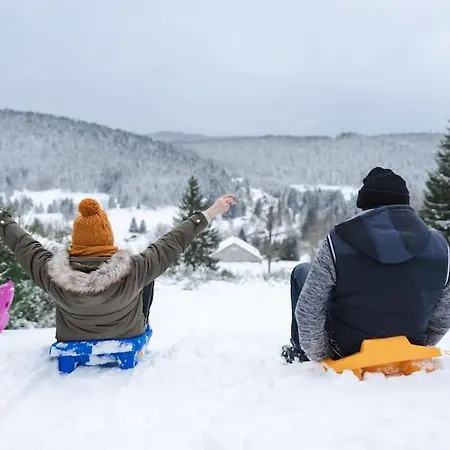 Chalet : Secteur Gérardmer.