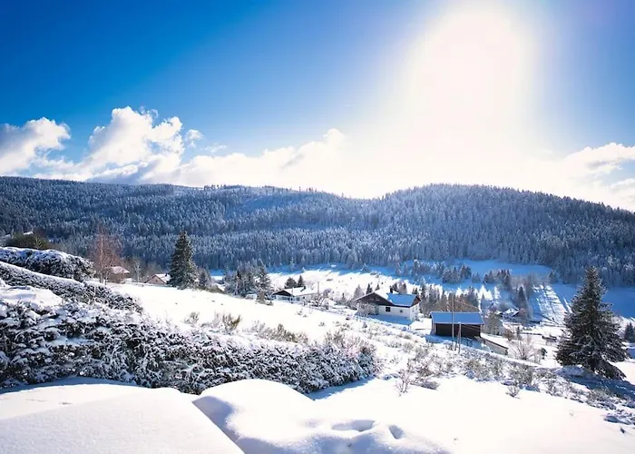 샬레 : Secteur Gerardmer.